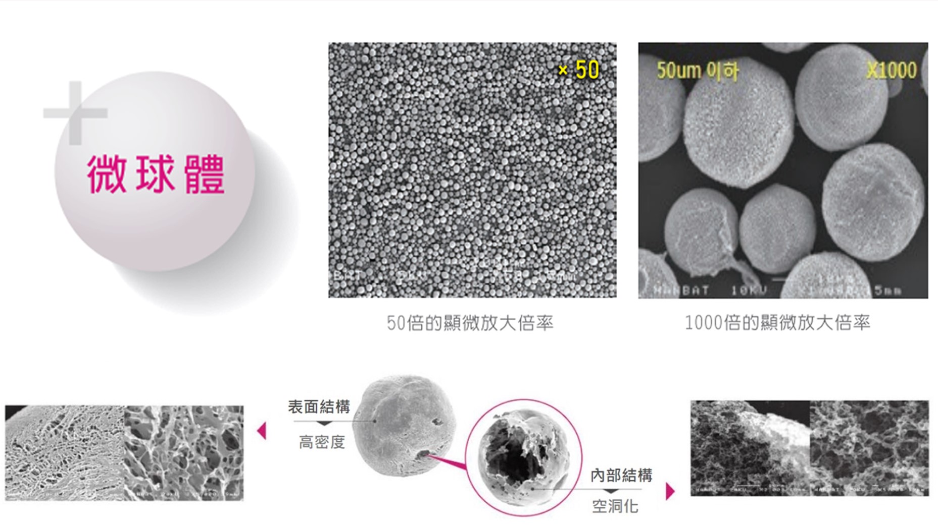 聚雙旋乳酸 多孔性球體結構