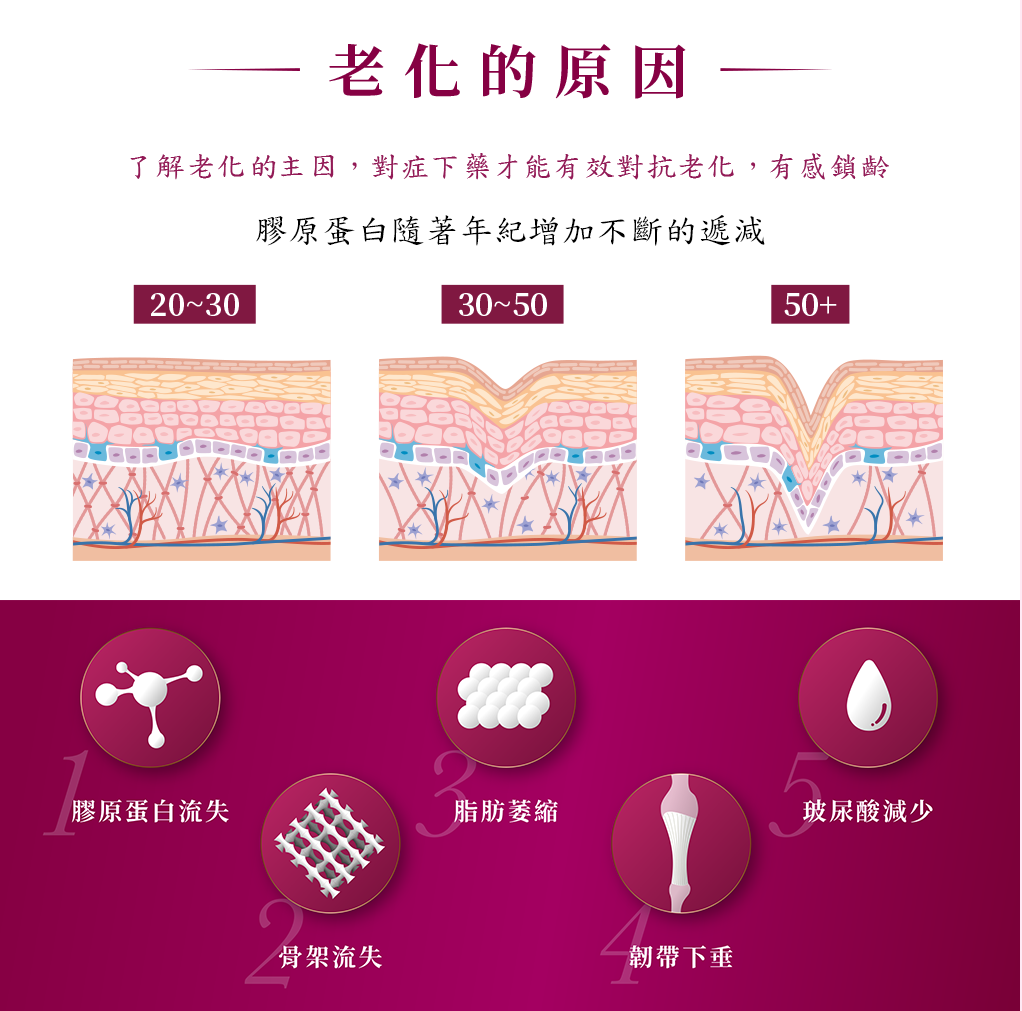 啟動肌底原生力