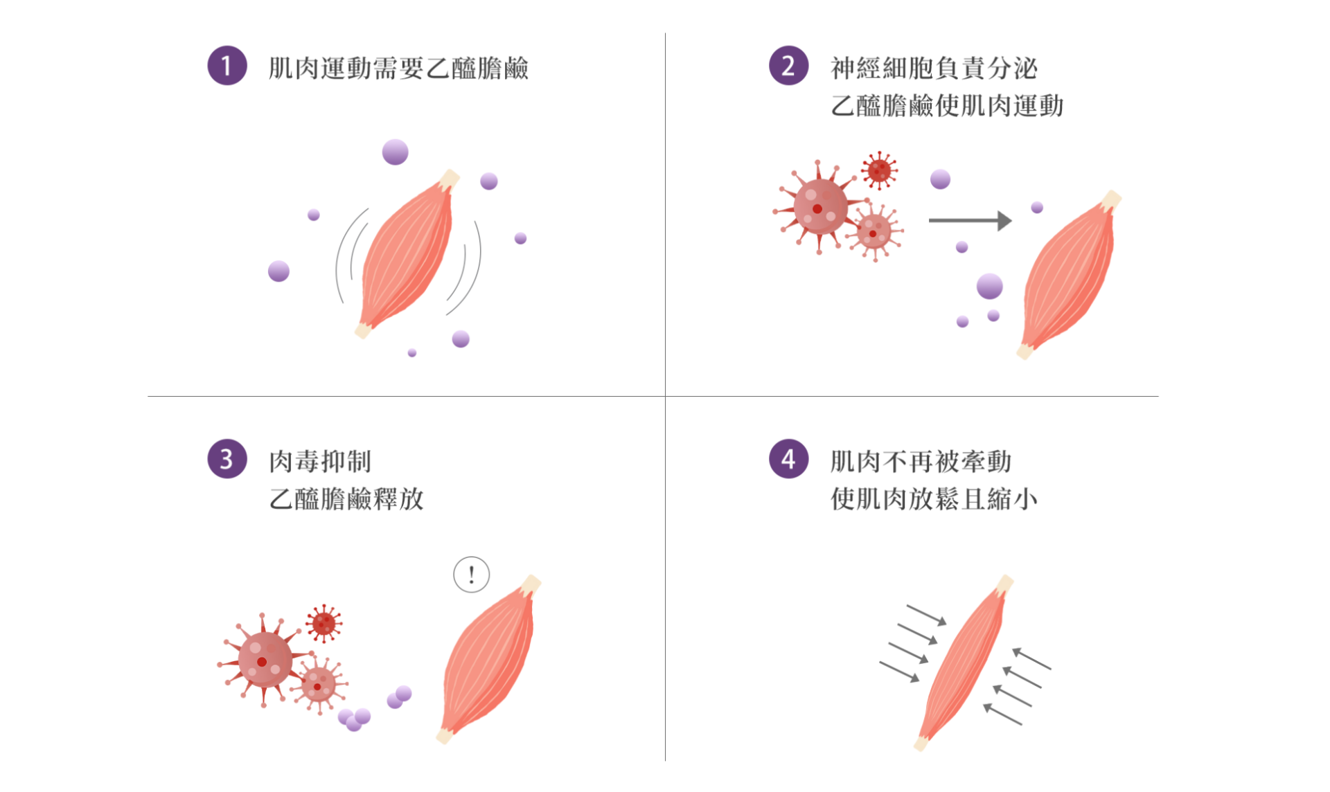 Botox保妥適肉毒｜廣泛應用各部位